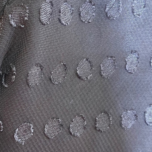 Madewell Swiss Dot Blouse Long Sleeves Gray Ice Leaf Blouse b6940 Top Sheer S - Picture 5 of 7